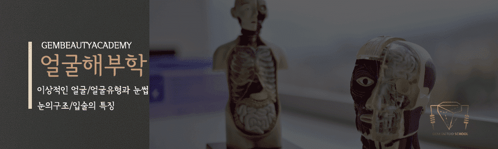 반영구교육과정6