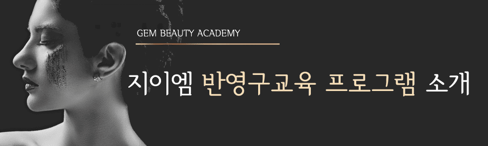 반영구화장 프로그램