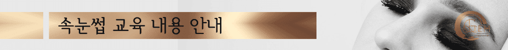 속눈썹 교육내용