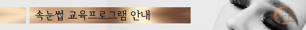 속눈썹 교육프로그램
