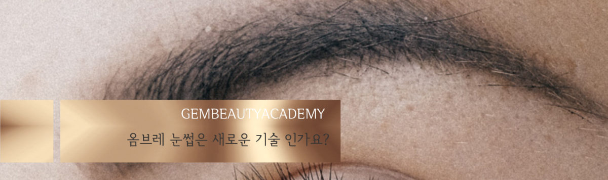 옴브레 눈썹 반영구1